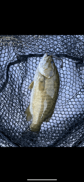 White water River adventures 