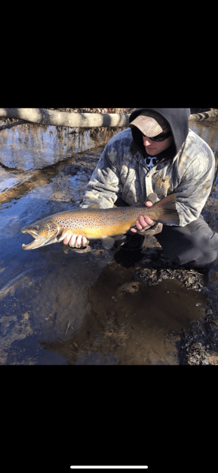 White water River adventures 