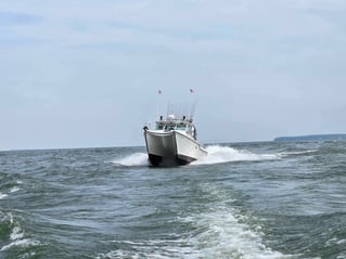 Morning Wallaye or Perch charter