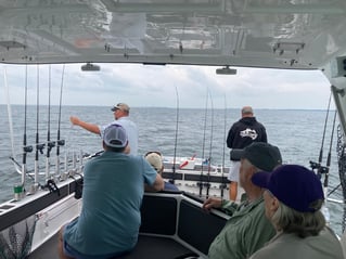 Morning Wallaye or Perch charter