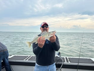 Morning Wallaye or Perch charter