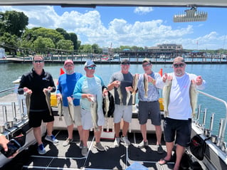 Morning Wallaye or Perch charter