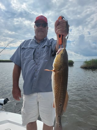 6 Hours Inshore Trip