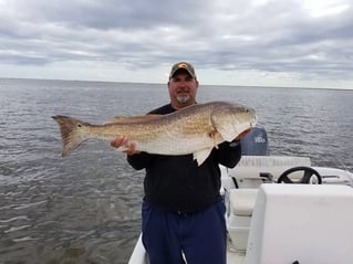 7 Hour Charter Trip Inshore 