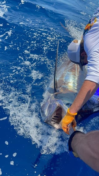 Full Day Offshore Trip