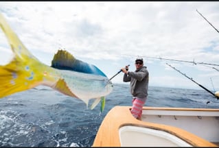 Full Day Offshore Trip