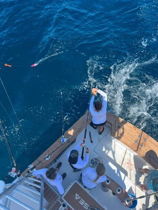 Full Day Offshore Fishing