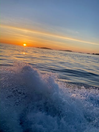 Boston Inshore Fishing