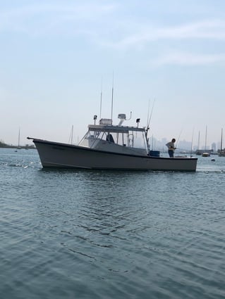 Boston Inshore Fishing