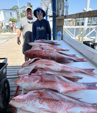 4 Hour-Inshore/Nearshore/Bottom