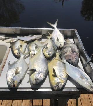 4 Hour-Inshore/Nearshore/Bottom