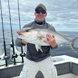 4-8 Hours Offshore - Sea's the Day