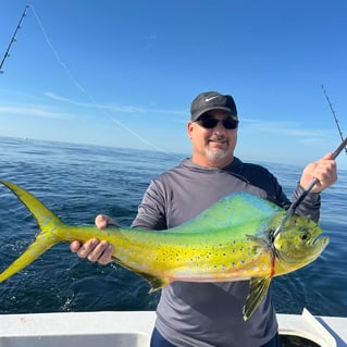 4-8 Hours Offshore - Sea's the Day