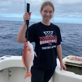 4-8 Hours Offshore - Sea's the Day