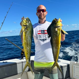 4-8 Hours Offshore - Sea's the Day