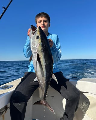 4-8 Hours Offshore - Sea's the Day