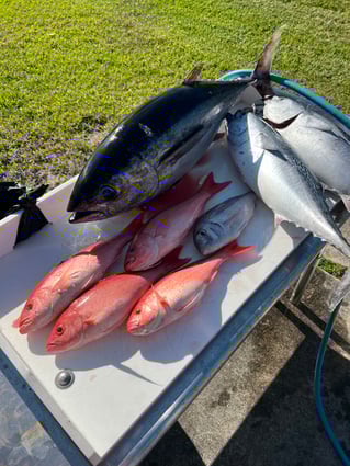 Offshore Bluewater Adventure 