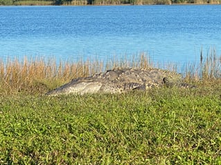 Miami Hook & Boom Trip