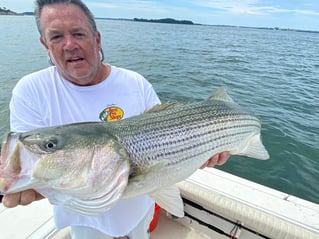 4-6 Hour Trip – Striped Bass
