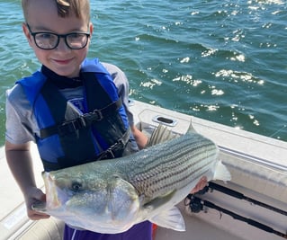 4-6 Hour Trip – Striped Bass