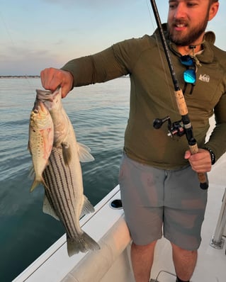 Inshore Striped Bass 