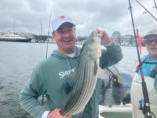 Inshore Striped Bass 