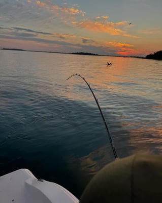 Inshore Striped Bass 