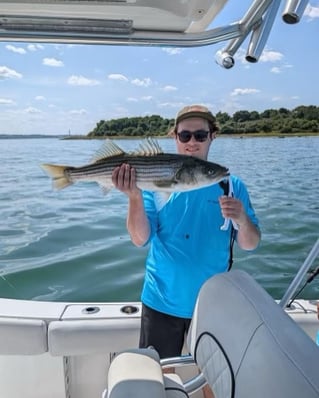 Inshore Striped Bass 