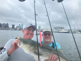 Inshore Striped Bass 