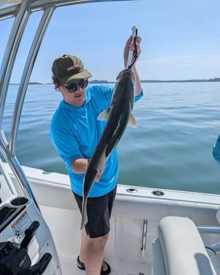 Inshore Striped Bass 