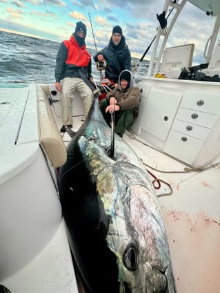 Full Day Giant or Rec Bluefin