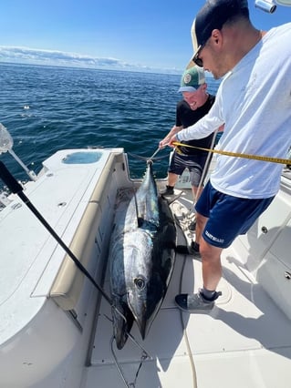 Full Day Giant or Rec Bluefin