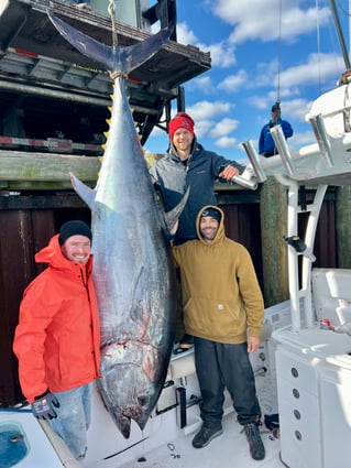 Full Day Giant or Rec Bluefin