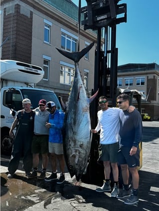Full Day Giant or Rec Bluefin
