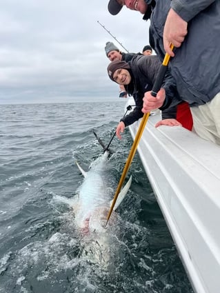 Full Day Giant or Rec Bluefin