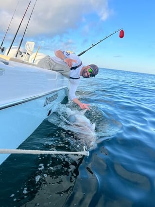 Full Day Giant or Rec Bluefin