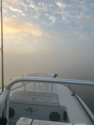 4 hour inshore charter