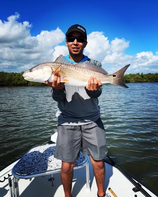 Mosquito Lagoon Inshore Trip