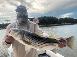 Striper time, Casting for the fish!