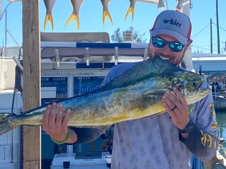 Yellowtail Fishing Trip