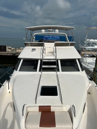 Yellowtail Fishing Trip