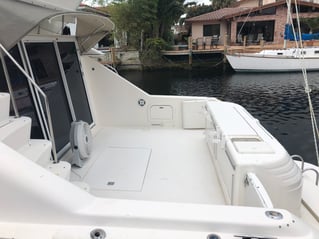 Yellowtail Fishing Trip