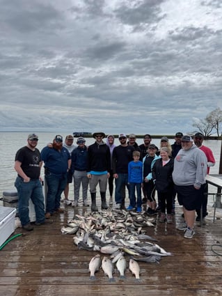 "Reeling in Memories"