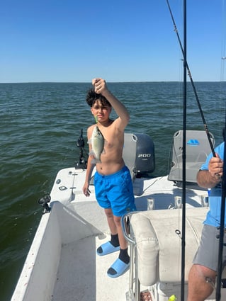 "Reeling in Memories"