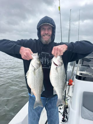 "Reeling in Memories"