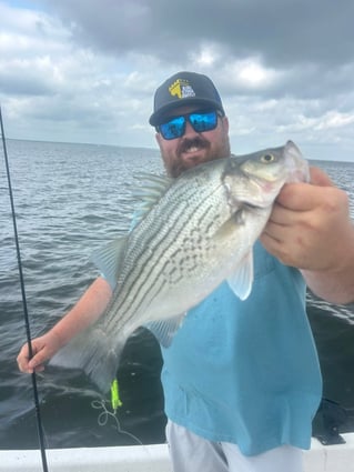 "Reeling in Memories"