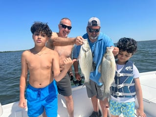 "Reeling in Memories"