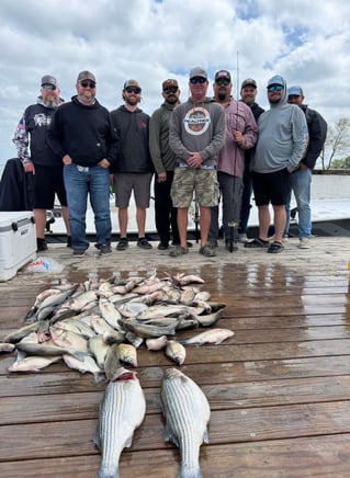 "Reeling in Memories"