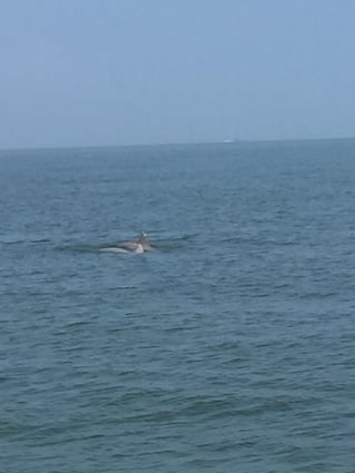 Sunset Cruise Just for You