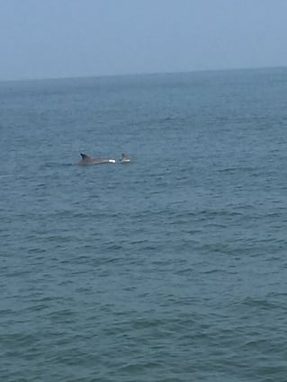 Sunset Cruise Just for You